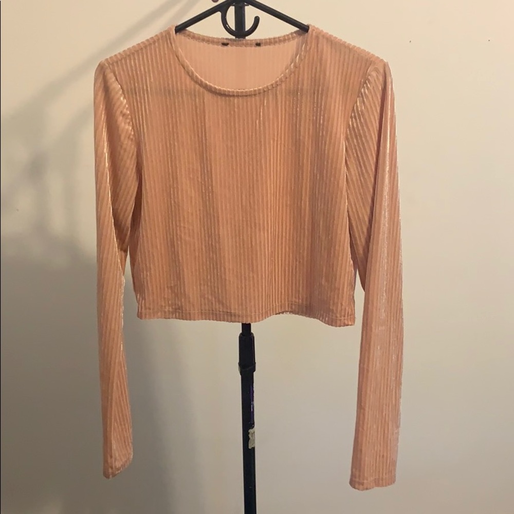 Forever21 crop long sleeve